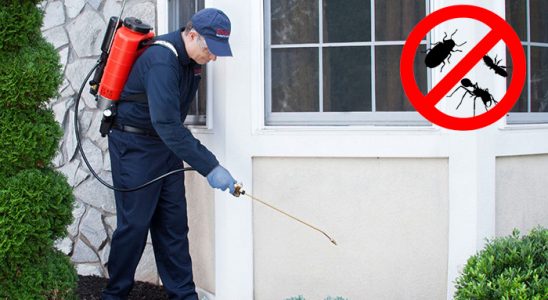 Şişli Hamam Böceği İlaçlama böcek ilaçlama ve haşere kontrolü — ilaclama-tr.com